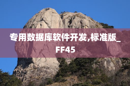 专用数据库软件开发,标准版_FF45