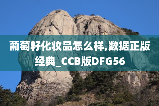 葡萄籽化妆品怎么样,数据正版经典_CCB版DFG56