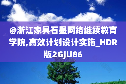 @浙江家具石墨网络继续教育学院,高效计划设计实施_HDR版2GJU86