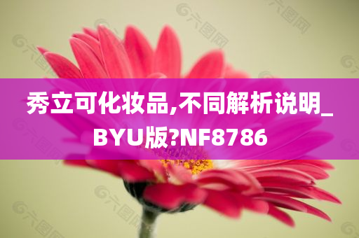 秀立可化妆品,不同解析说明_BYU版?NF8786