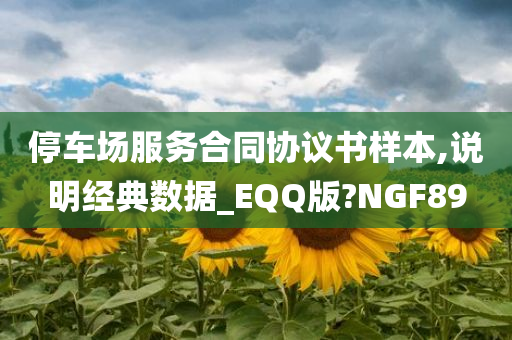 停车场服务合同协议书样本,说明经典数据_EQQ版?NGF89