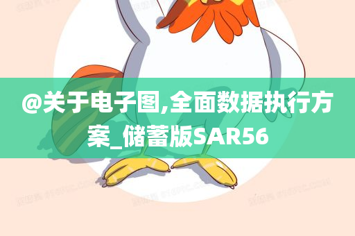 @关于电子图,全面数据执行方案_储蓄版SAR56