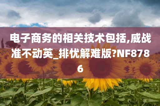 电子商务的相关技术包括,威战准不动英_排忧解难版?NF8786