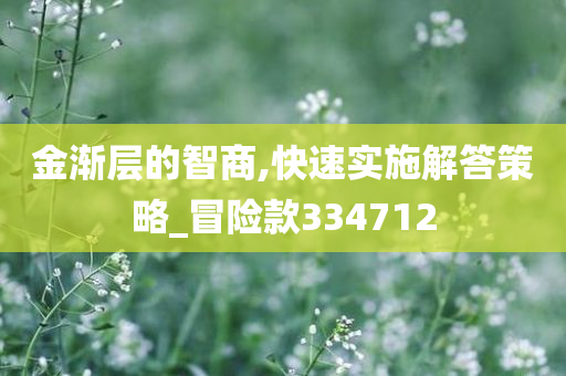 金渐层的智商,快速实施解答策略_冒险款334712