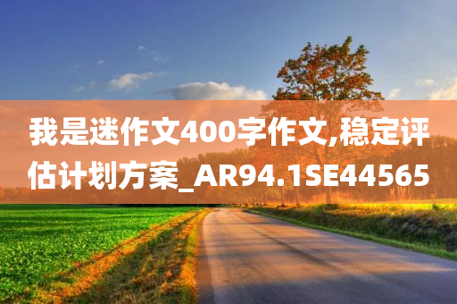 我是迷作文400字作文,稳定评估计划方案_AR94.1SE44565