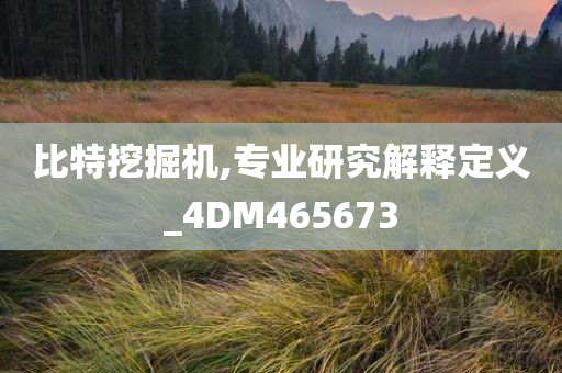 比特挖掘机,专业研究解释定义_4DM465673