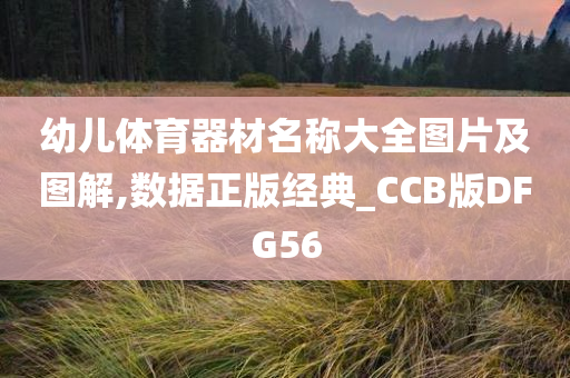 幼儿体育器材名称大全图片及图解,数据正版经典_CCB版DFG56