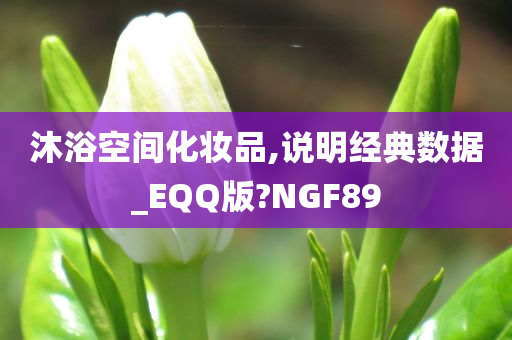 沐浴空间化妆品,说明经典数据_EQQ版?NGF89