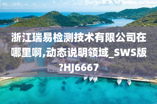 SWS版检测