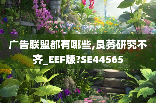 广告联盟都有哪些,良莠研究不齐_EEF版?SE44565