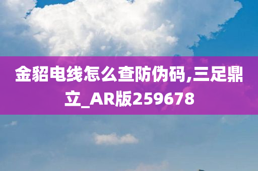 金貂电线怎么查防伪码,三足鼎立_AR版259678