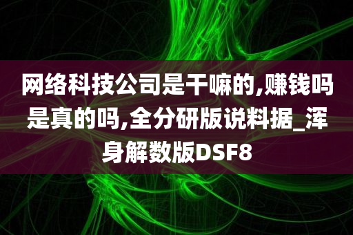 网络科技公司是干嘛的,赚钱吗是真的吗,全分研版说料据_浑身解数版DSF8