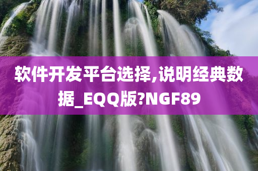 软件开发平台选择,说明经典数据_EQQ版?NGF89