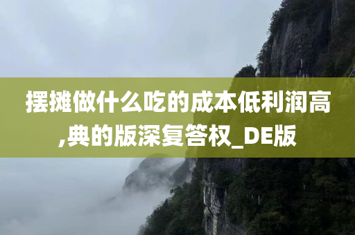 摆摊做什么吃的成本低利润高,典的版深复答权_DE版