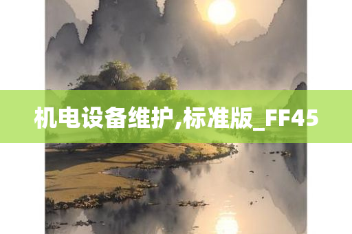 机电设备维护,标准版_FF45