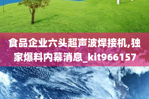 食品企业六头超声波焊接机,独家爆料内幕消息_kit966157