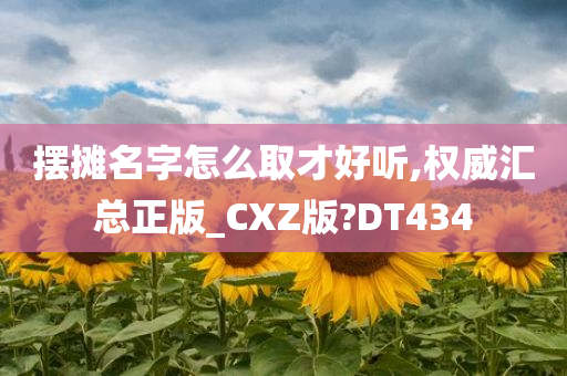 摆摊名字怎么取才好听,权威汇总正版_CXZ版?DT434