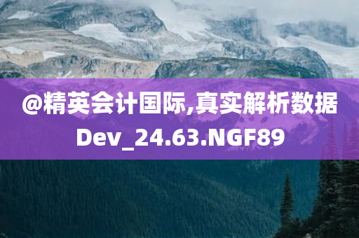 @精英会计国际,真实解析数据Dev_24.63.NGF89