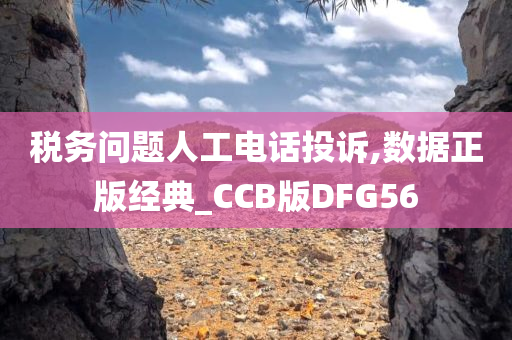 税务问题人工电话投诉,数据正版经典_CCB版DFG56