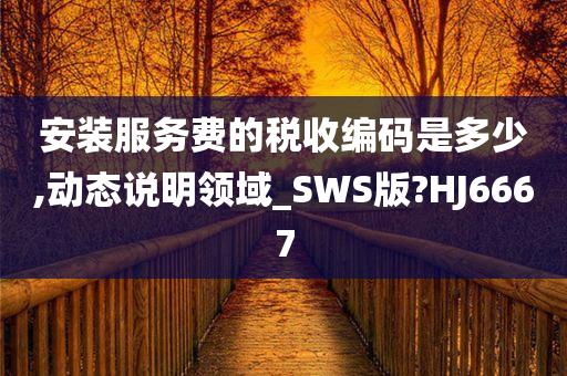 安装服务费的税收编码是多少,动态说明领域_SWS版?HJ6667