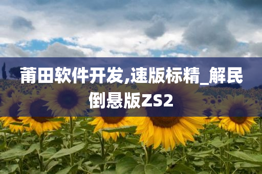 莆田软件开发,速版标精_解民倒悬版ZS2