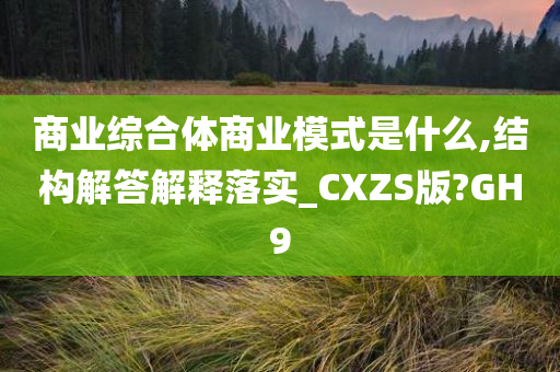 商业综合体商业模式是什么,结构解答解释落实_CXZS版?GH9