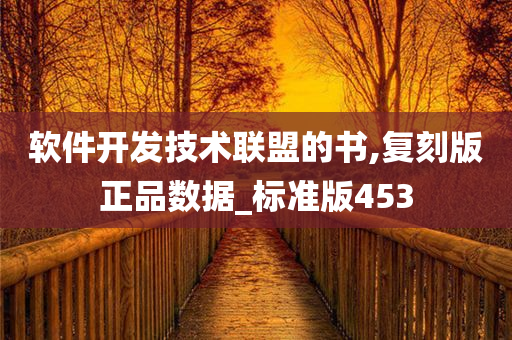 软件开发技术联盟的书,复刻版正品数据_标准版453