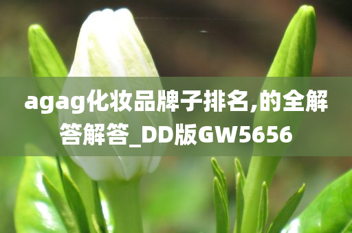 agag化妆品牌子排名,的全解答解答_DD版GW5656