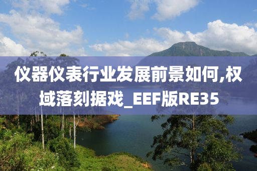 仪器仪表行业发展前景如何,权域落刻据戏_EEF版RE35