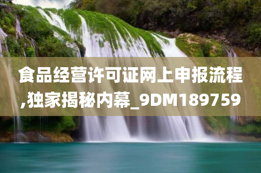 食品经营许可证网上申报流程,独家揭秘内幕_9DM189759