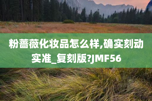 粉蔷薇化妆品怎么样,确实刻动实准_复刻版?JMF56