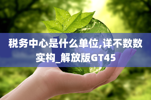 税务中心是什么单位,详不数数实构_解放版GT45