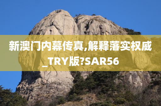 新澳门内幕传真,解释落实权威_TRY版?SAR56