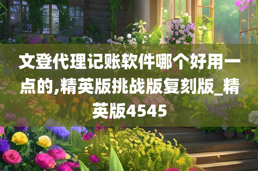 文登代理记账软件哪个好用一点的,精英版挑战版复刻版_精英版4545