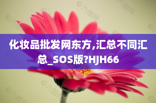 化妆品批发网东方,汇总不同汇总_SOS版?HJH66