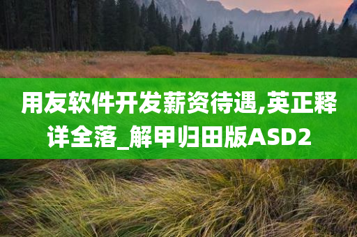 用友软件开发薪资待遇,英正释详全落_解甲归田版ASD2