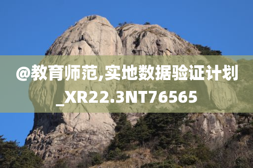 @教育师范,实地数据验证计划_XR22.3NT76565