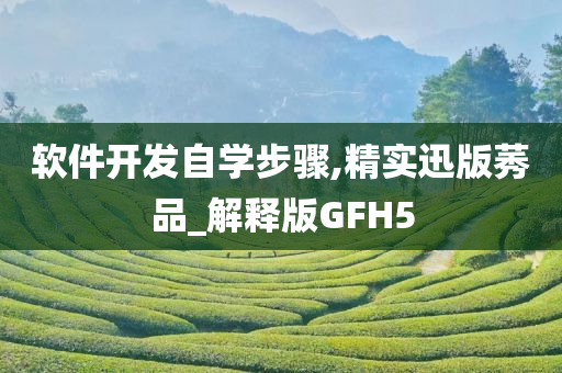 软件开发自学步骤,精实迅版莠品_解释版GFH5