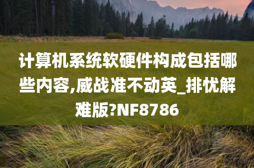 计算机系统软硬件构成包括哪些内容,威战准不动英_排忧解难版?NF8786