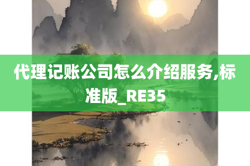 代理记账公司怎么介绍服务,标准版_RE35