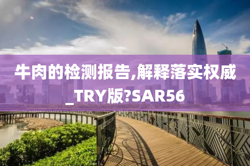 牛肉的检测报告,解释落实权威_TRY版?SAR56