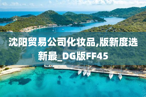 沈阳贸易公司化妆品,版新度选新最_DG版FF45