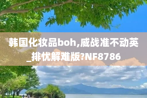 韩国化妆品boh,威战准不动英_排忧解难版?NF8786