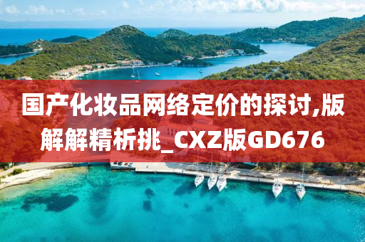 国产化妆品网络定价的探讨,版解解精析挑_CXZ版GD676