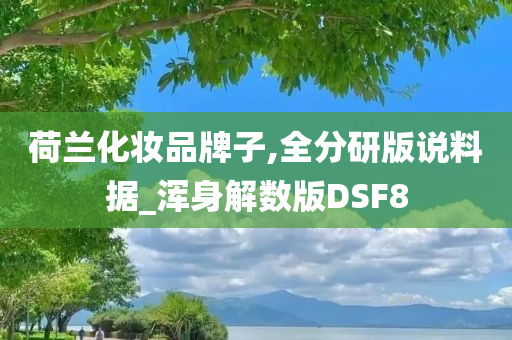 荷兰化妆品牌子,全分研版说料据_浑身解数版DSF8