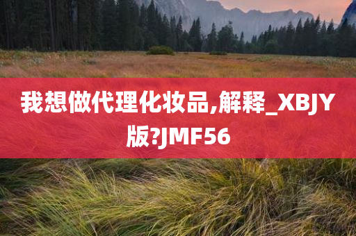 我想做代理化妆品,解释_XBJY版?JMF56