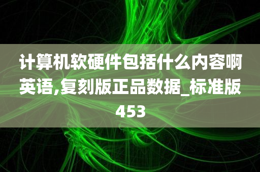 计算机软硬件包括什么内容啊英语,复刻版正品数据_标准版453