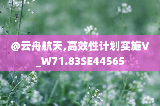 @云舟航天,高效性计划实施V_W71.83SE44565