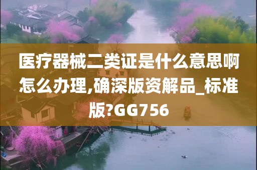 医疗器械二类证是什么意思啊怎么办理,确深版资解品_标准版?GG756