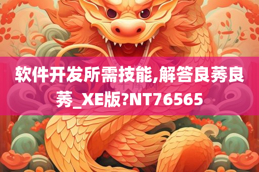 软件开发所需技能,解答良莠良莠_XE版?NT76565